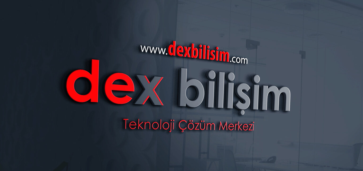 dex bilisim